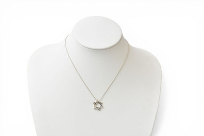 ティファニー ネックレス/ペンダント シルバー TIFFANY&Co. エルサ・ペレッティ スターオブダビデ シルバー925【中古】