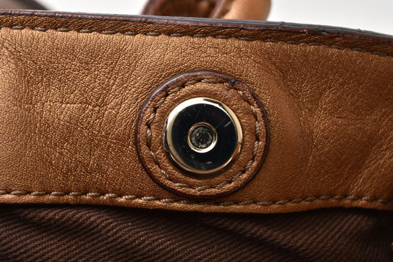 ロエベ ハンドバッグ FIESTA/フィエスタ 2WAY ブロンズ レザー ショルダーバッグ LOEWE レディース【中古】